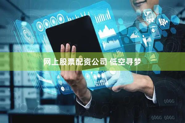 网上股票配资公司 低空寻梦