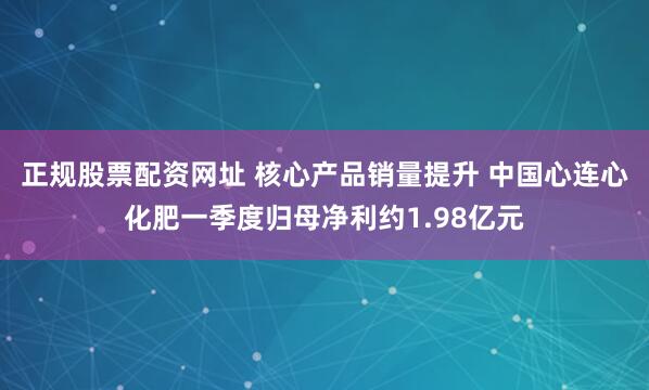 正规股票配资网址 核心产品销量提升 中国心连心化肥一季度归母净利约1.98亿元