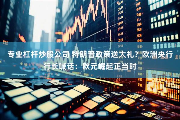 专业杠杆炒股公司 特朗普政策送大礼？欧洲央行行长喊话：欧元崛起正当时