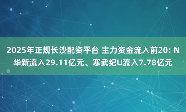 2025年正规长沙配资平台 主力资金流入前20: N华新流入29.11亿元、寒武纪U流入7.78亿元