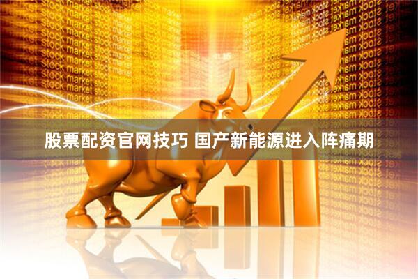 股票配资官网技巧 国产新能源进入阵痛期