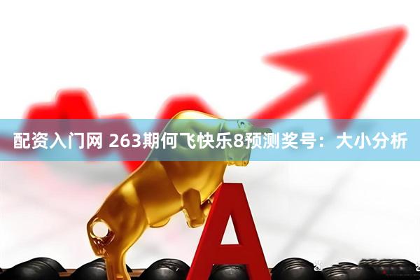 配资入门网 263期何飞快乐8预测奖号：大小分析
